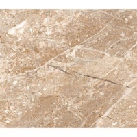 Gạch Đồng Tâm bóng 4080REGAL006