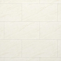 Gạch Đồng Tâm bóng 4080REGAL007