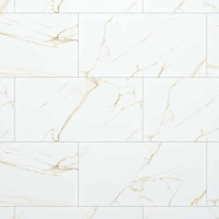 Gạch Đồng Tâm Porcelain 4080GECKO002
