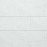 Gạch Đồng Tâm Porcelain 40x80 4080GECKO003