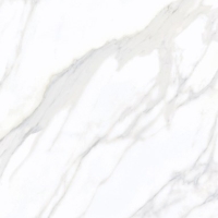 Gạch Eurotile 60x120 SIG P61205