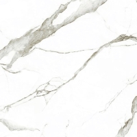 Gạch Eurotile 60x120 SIG P61206