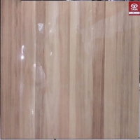 Gạch giả gỗ Tasa 60x60 TSA6619
