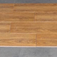 Gạch giả gỗ Trung Quốc 20x100 9902