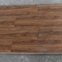 Gạch giả gỗ Trung Quốc 20x100 9903