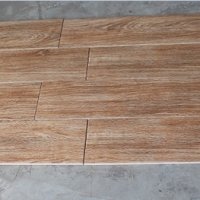 Gạch giả gỗ Trung Quốc 20x100 9904