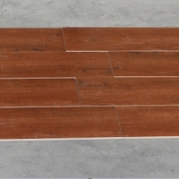 Gạch giả gỗ Trung Quốc 20x100 9910