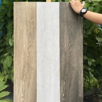 Gạch giả gỗ Viglacera 20x100 xám hiện đại