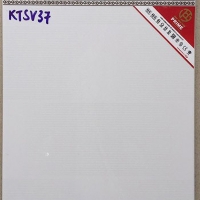 Gạch giá rẻ 25x40 KTSV37