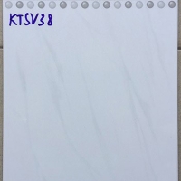 Gạch giá rẻ 25x40 KTSV38