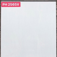 Gạch giá rẻ 25x40 PH2565V