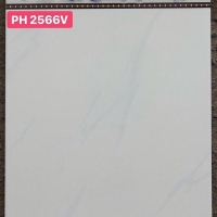 Gạch giá rẻ 25x40 PH2566V