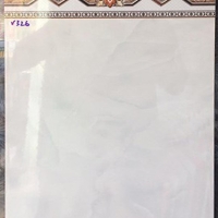 Gạch giá rẻ 30x45 ốp tường V326