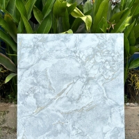 Gạch lát nền giá rẻ 80x80 TK58902