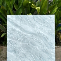 Gạch lát nền giá rẻ 80x80 TK58903