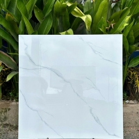 Gạch lát nền giá rẻ 80x80 TK58904