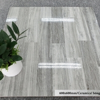 Gạch men giá rẻ 60x60 Catalan 7109