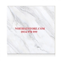 Gạch Hoàn Mỹ 100x100 vi tinh 55002