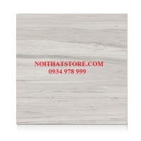Gạch Hoàn Mỹ 100x100 vi tinh 55003