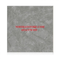 Gạch Hoàn Mỹ 100x100 vi tinh 55006