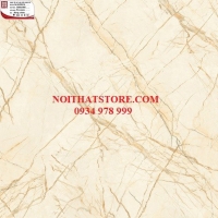 Gạch Hoàn Mỹ 100x100 vi tinh 55016