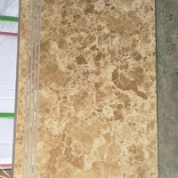 Gạch lát cầu thang 47x100 1202