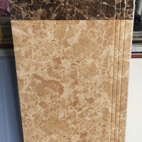 Gạch lát cầu thang 47x100 1802