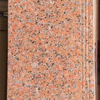 Gạch lát cầu thang 47x100 1804