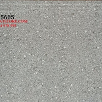 Gạch lát cầu thang 50x60 BTH5665