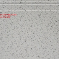 Gạch lát cầu thang 50x60 CT5602