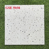 Gạch lát nền 50x50 GSE5038