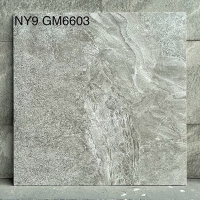 Gạch 60x60 mờ xi măng Viglacera NY9-GM6603