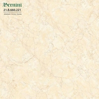 Gạch lát nền Á Mỹ 60x60 221