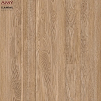 Gạch lát nền Á Mỹ 60x60 603