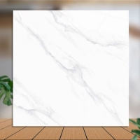 Gạch lát nền Catalan 100x100 10015