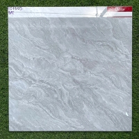 Gạch lát nền 60x60 Catalan XS 75003