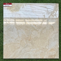 Gạch lát nền Catalan 800x800 80101