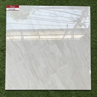 Gạch lát nền Catalan 800x800 80102