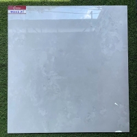 Gạch lát nền Catalan 800x800 95002