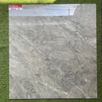 Gạch lát nền giá rẻ Catalan 800x800 95006
