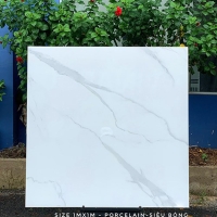 Gạch lát nền CMC 100x100 TTT PRO1004