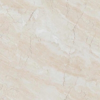 Gạch lát nền CMC 60x60 LX6655