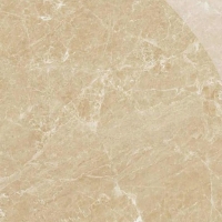 Gạch lát nền CMC 60x60 LX6666