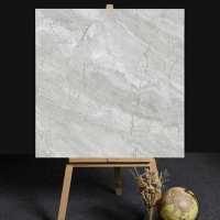 Gạch lát nền CMC 80x80 LX8838