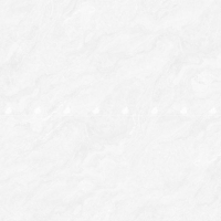 Gạch lát nền Đồng Tâm 100DONGVAN001