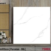 Gạch lát nền giá rẻ 60x60 Catalan XS 75001
