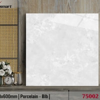 Gạch lát nền giá rẻ 60x60 Catalan XS 75002