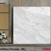 Gạch lát nền giá rẻ 60x60 Catalan XS 75003
