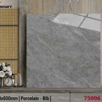 Gạch lát nền giá rẻ 60x60 Catalan XS 75006