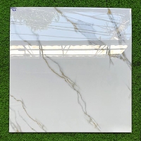 Gạch lát nền Grandcera Phương Nam 80x80 8801
